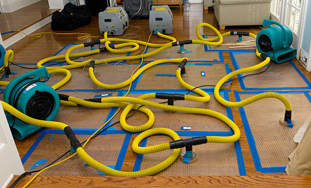 Professional Crawl Space Water Removal technician working in Hollytree, AL